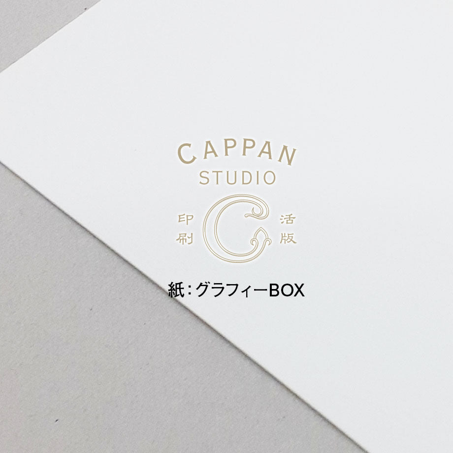 グラフィーBOX L判:253.5kg【無地】