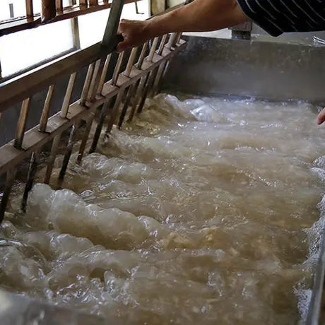 黒谷和紙 耳付き名刺用和紙サンプル（京都府綾部市黒谷町）